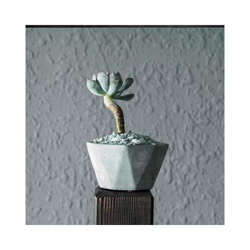 Cement Flowerpot Succulent Planter Solid Geometry Style Concrete Floweplanter For Home & Garden SY160F
