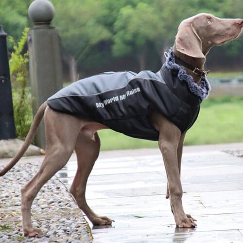 Jacket Puppy Reflective Warm Thick Fur Waterproof Dirty-resistant Collar Cotton Padded Simple Letter Puppy Clothes Pet Product