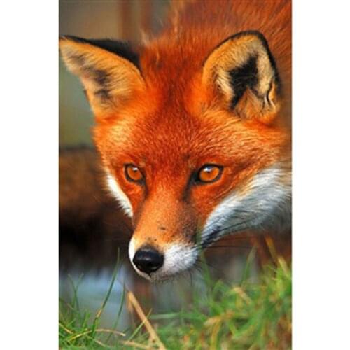 5D DIY Diamond Painting Fox Full Round Resin Rhinestone Mosaic Diamond Art Embroidery Animals Cross Stitch Kit Home Decoration