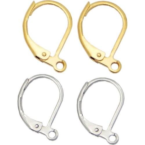 20pcs 16x11mm Stainless Steel Silver Tone French Earring Hooks Wire Clasp Finding for DIY Earring Making Components Supplier B
