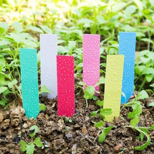 50Pcs Garden Plant Labels 10cm Plastic Plant Tags Markers Nursery Pots Garden Decoration Seedling Tray Mark Tools