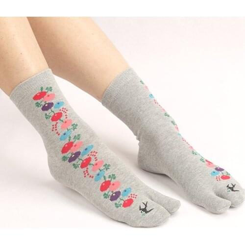 4 Pairs Of Two Finger Socks Women Cotton Socks Medium Tube Spring Autumn Split Toe Socks Embroidery Flowers