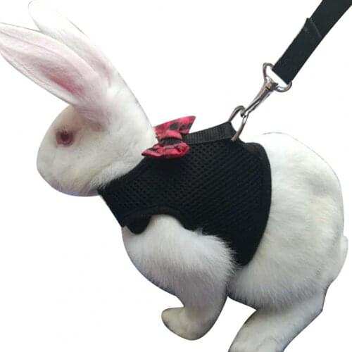 Rabbit Hamster Chest Strap Vest Harness Walking Leash Traction Rope Pet Supply 2021