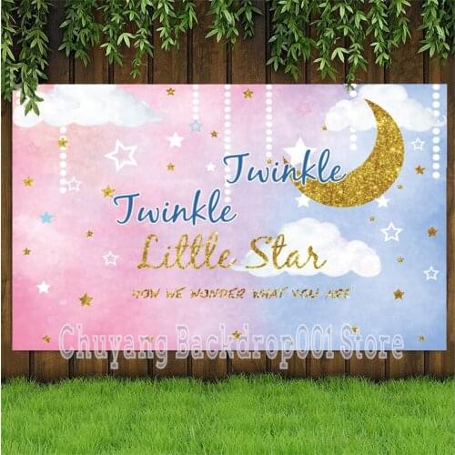 Twinkle Twinkle Little Star Photo Backdrop Elephant Gold Moon Baby Shower Party Decoration Photography Backgrounds Banner