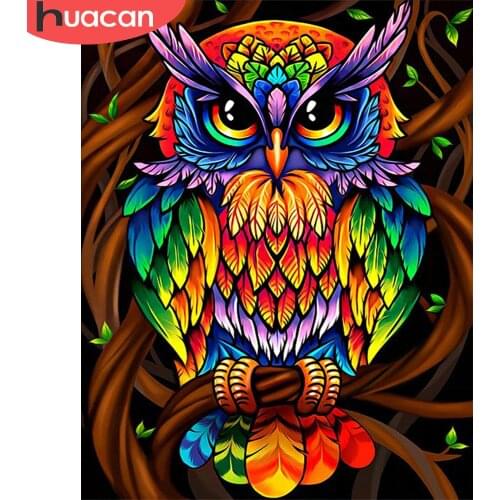 HUACAN Painting By Number Owl Kits For Adults Handpainted DIY Coloring By Number Colorful Animal On Canvas Home Decoration