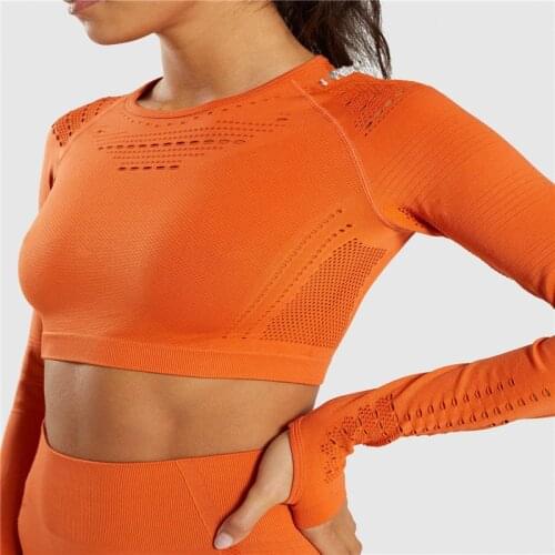 Women Mesh Seamless Yoga long Sleeve Sports Yoga Shirts Female Gym clothing workout Running Shirts Fitness Sports Tank Crop Tops