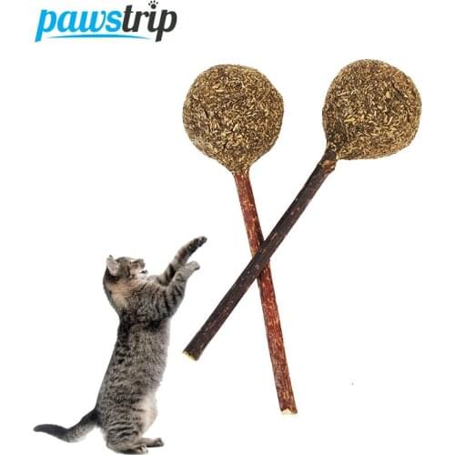 Pawstrip 1pc Lollipop Catnip Cat Toy Ball Cleaning Teeth Cat Snacks Sticks Kitten Toys For Cats 12cm Length Catnip Toy Sitcks