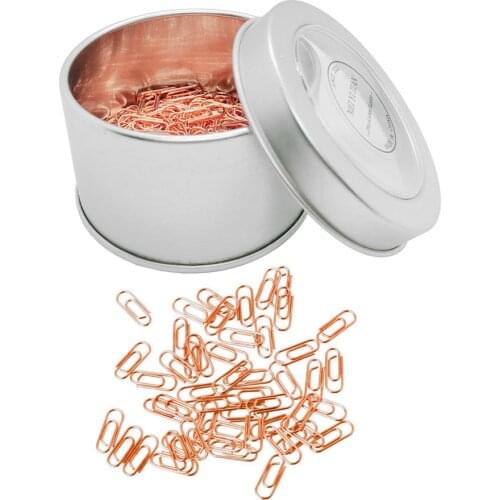 200pcs Rose Gold Mini Paper Clip Cute Tiny Paperclips 3/5 Inch Stainless Steel in Silver Tinplate Paper Clip Holder Office Clips