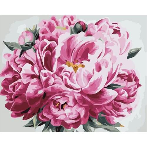 Albumin Great 40x50cm Diy Oil Painting By Numbers Animal Picture By Numbers On Canvas Flower Home Decor Unique Gift