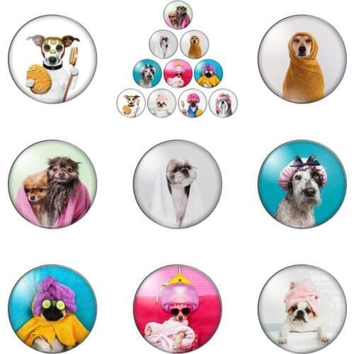 Mix Cute Wash Bath Dogs Pet 12mm/20mm/25mm/30mm Round Photo Glass Cabochon Demo Flat Back Making Findings