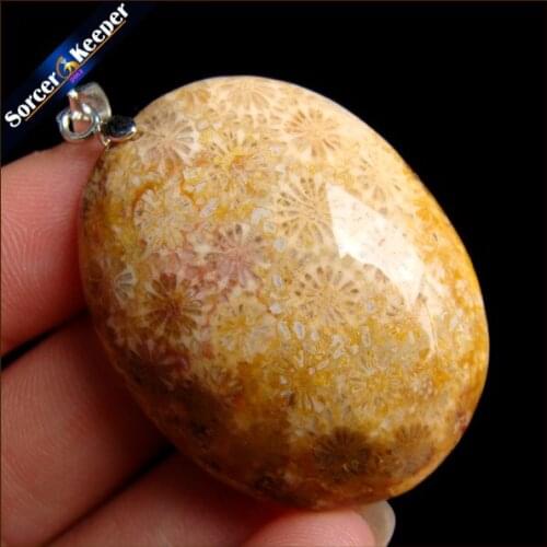 New Classic Hot Natural Healing Crinoid Fossil Gem Stone Pendant Necklace For Women And Men Chrysanthemum Stone Jewelry HS319