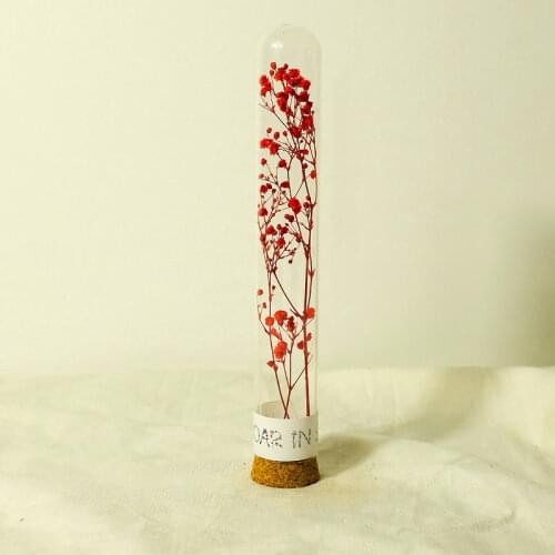 3.7*18cm Cork Base Glass Dome Diameter=3.7cm Height=18cm Dry Flower Storage Bottle DIY Glass Tube Cover Vase