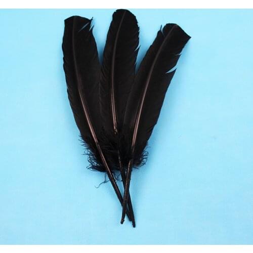 25-30cm 50pcs/lot black goose feather /Turkey feather 10-12inch goose feather plumes party hat decorations