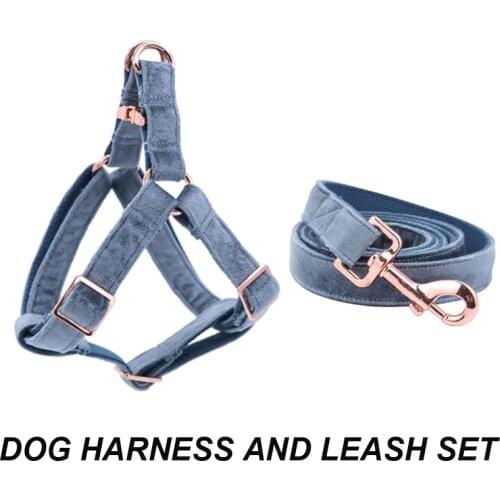 Blue Velvet Dog Harness Basic Dog Leash Adjustable Buckle Cotton Fabric for Dog or Cat