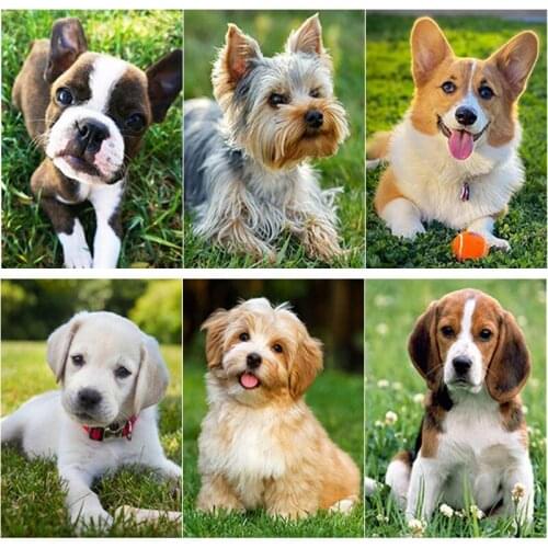 New 5D DIY Diamond Painting Pet Dog Diamond Embroidery Animal Cross Stitch Full Square Round Drill Crafts Home Decor Manual Gift