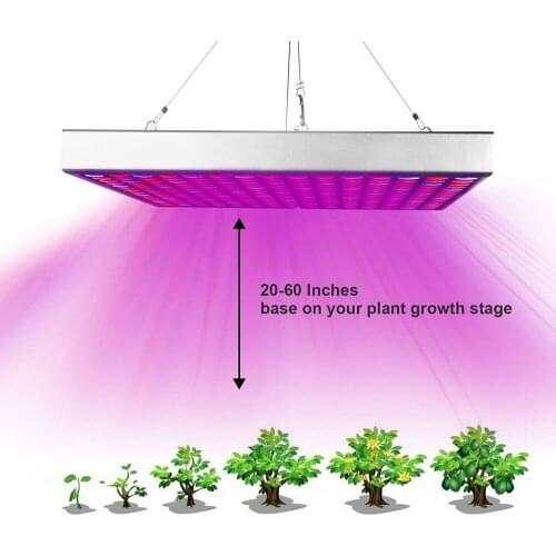YWXLIGHT Phytolamps For Plants