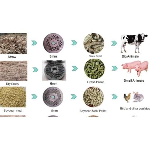 80-100 kg/h 4 KW Wood Flour Pellet Machine