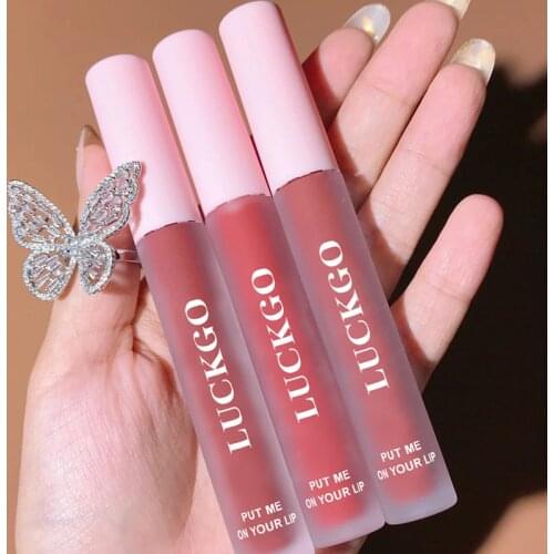 Velvet Lipstick Matte Mirror Lip Gloss Not Easy To Remove Makeup Waterproof and Sweat-proof Lip Glaze Korean Cosmetics TSLM1