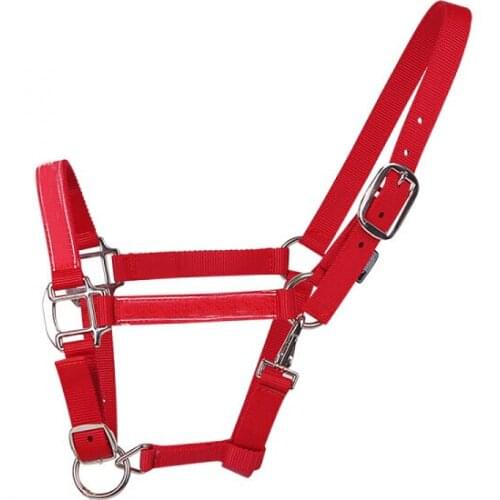 Horse Leading Halter Adjustable Horse Harness Equestrian Knight Equipment