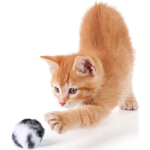 5pcs Pet Plush Ball Toy Cat Toy Leopard Plush Toy Ball With Cat Mint Interactive Pet ToyInteractive Training Ball