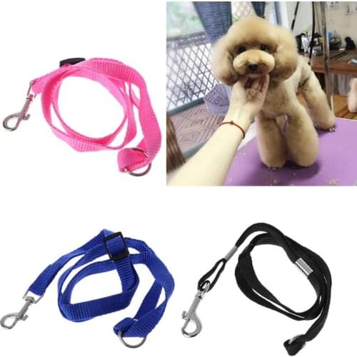 Pet Leash Nylon Cat Dog Grooming Loop Cable Rope Leashes for Beauty Bathing