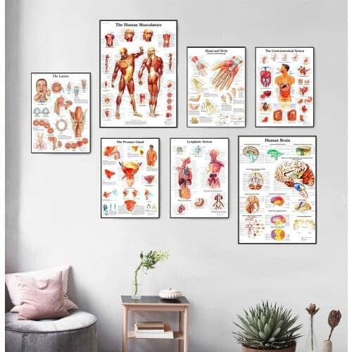 Human Anatomy Muscles System Art Poster Print Body Map Canvas Painting Wall Pictures for Medical Education Home Decor