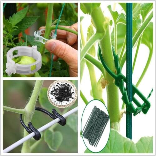 50pcs/lot Vines Fastener Plant Grafting Clip Tomato Vegetable Garden Support Agricultural Greenhouse Supplies For Trellis Twine