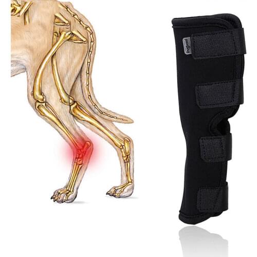 Dog Wounds and Injury Hock Brace Protects Pet Supportive Rear Dog Compression Leg Joint Wrap