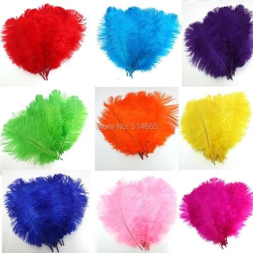 Wholesale Cheap ostrich feather 100pcs 8-10 inches 20-25cm Ostrich plumage ostrich plume 14COLORS