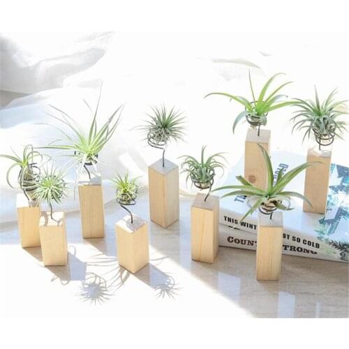 20pcs/lot Iron Air Plant Stand Container Tillandsia Holder Tabletop Plant Pot Display Rack Vase with Wooden Base