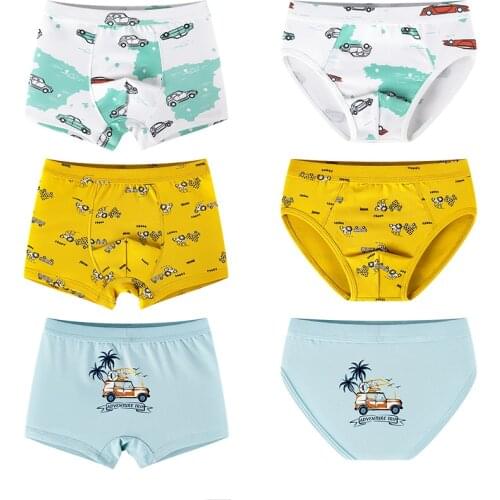 Natural Cotton Shorts Panties for Big Boys Cartoon Lion Underpants Fashion Plaid Kids Briefs High Quality Children Boxers 3PCS