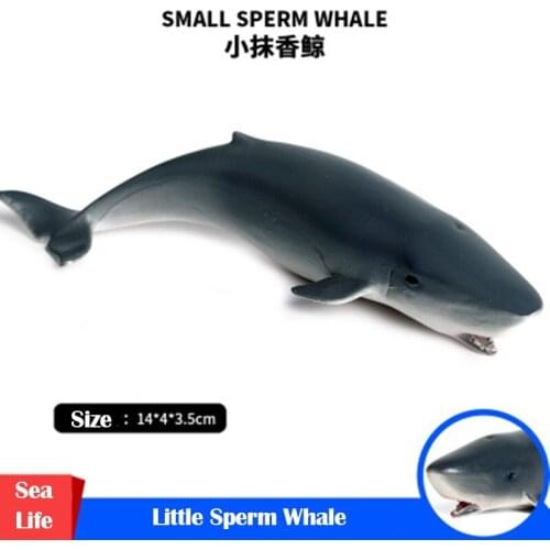 Sea Life Little Sperm Whale Simulation Animals Collection Model Plastic Hand Model Series Christmas Toys Gift For Children Kids