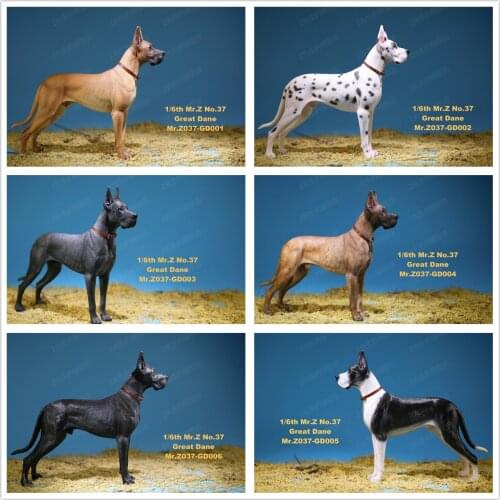 Mr.Z Studio 1:6 German Great Dane Dog Pet Figure Animal Decor Collector Model Toy Gift Highly realistic Home Craft Decoration