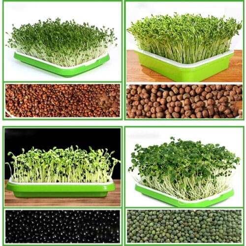 Seed Sprouter Tray BPA Free PP Soil-Free Wheatgrass Grower Lid Plate Hydroponic