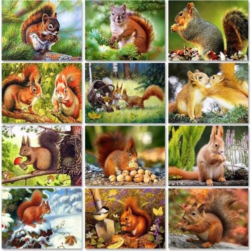 PhotoCustom Oil Paint By Numbers Kits Squirrel Painting By Numbers On Canvas Frameless 60x75cm Drawing By Numbers DIY Home Decor