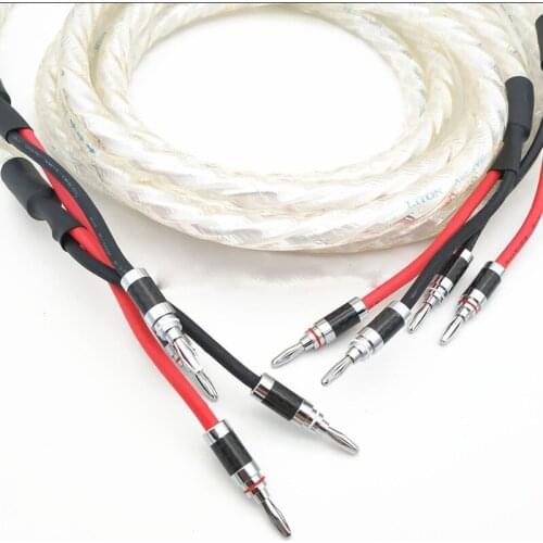 High Quality Hi-End hifi Audio Banana Plug AMP Speaker Cable 2 to 2 Connector Audio Amplifier CD DVD Player Speaker Cable