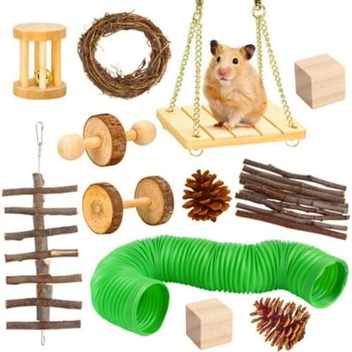 Hamster Chew Toys, Natural Wooden Teeth Care Molar Set for Guinea Pig, Rat Small Animal Exercise Accessories