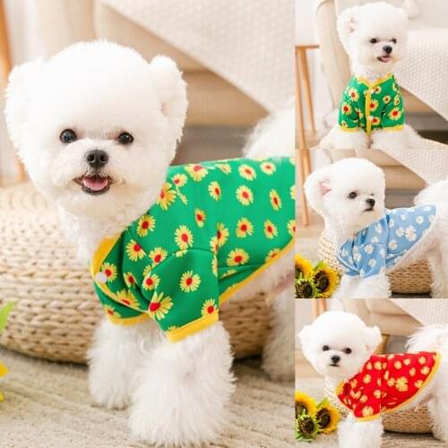 Puppy Dog Spring and Autumn Small Daisy Sweater Small and Medium-sized Dog Cute Cat Autumn and Winter Pet French Dog Costume