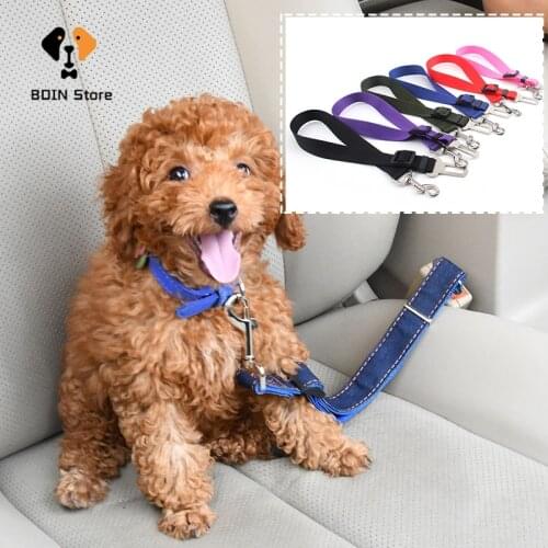 BDin Dog Accessories
