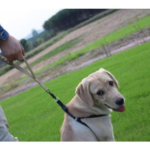 Hound Leash Rope Dog Leash 1000D Nylon Retractable Tactical Military Dog Training Leash Hunting Accessories Elastic Band