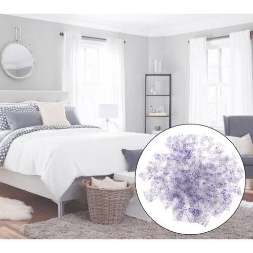 100 Packs 1g Silica Gel Desiccant Moisture Absorber Dehumidifier Drypack Non Toxic