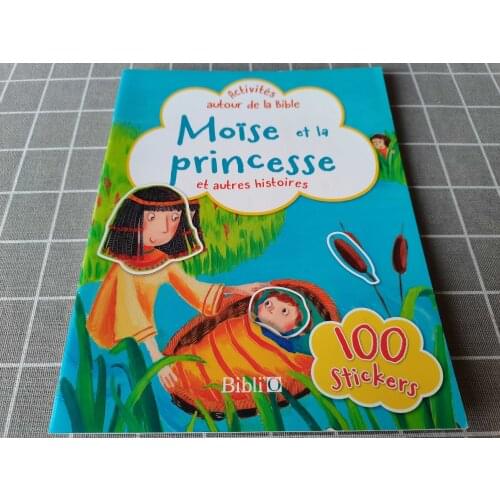 Parent Child Kids Baby French Book Lovely Picture Perceptual Thinking Education Enlightenment Girl Princess Sticker Book Age 3