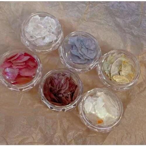 Charm Natural Nail Sequins Nail Sea Shell Conch Clips Stickers Manicure 3D DIY Nail Decoration Salon Nail Decals Tool