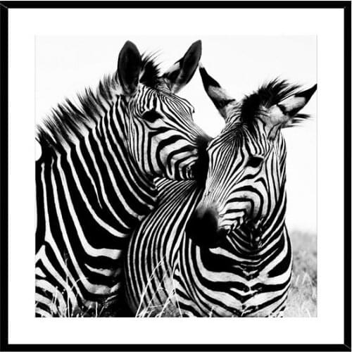 Painting Zebra Crystal (2 x 50 x 50 cm)