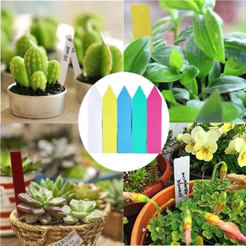 100pcs Garden Plant Labels Plastic Plant Tags Nursery Markers Flower Pots Seed