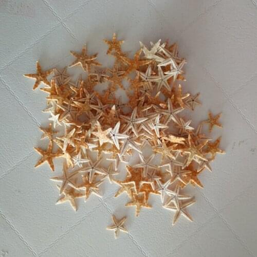 100pcs/lot Natural Artificial Starfish Platform Ornament Accessories wedding decoration 1-2cm size for choosing sea star