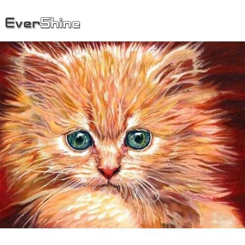 Evershine 5D DIY Diamond Painting Cat Full Square Diamond Embroidery Sale Animal Picture Of Rhinestone Wall Decoration