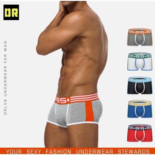 BS Men Underwear Male Boxer Penis Pouch Sexy Mesh Penis Sexy Underpants Cueca Male Pants Trunks Boxer Comfortable Gay boxers