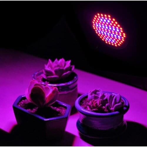 AOKAILA Phytolamps For Plants