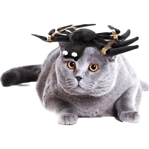 Legendog Exquisite Realistic Halloween Spider Cat Toy Pet Funny Cute Black Spider Legs With Teething Wood Chip Cat Toy